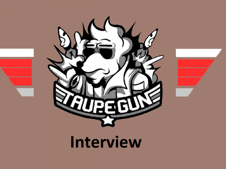 Interview oubliée – Taupe Gun aka BearPong